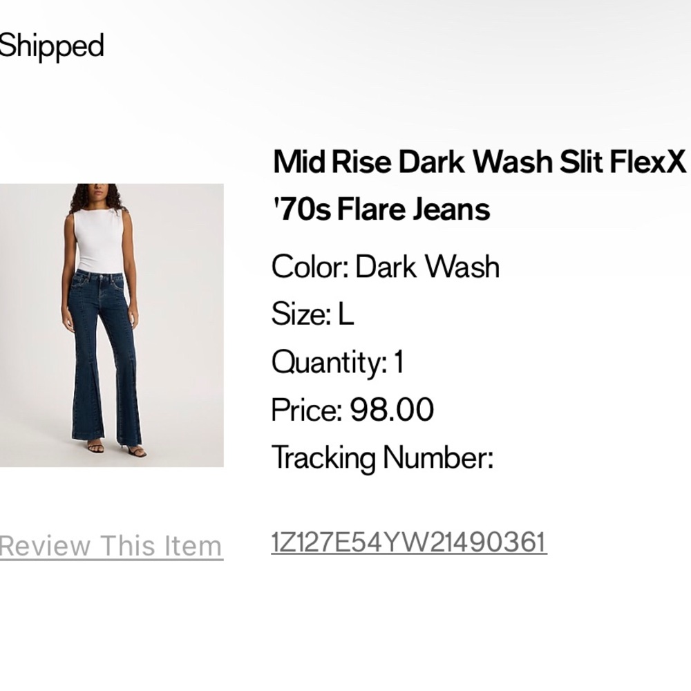 Express Blue Flare Wide Leg Jeans